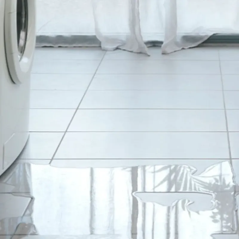 Appliance Leak Cleanup in Old Orchard Beach, ME